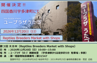◇第３回 ＲＢＭ（Reptiles Breeders Market with Shops）概要 日　時：2026年12月20日（日）10:00～15:00 場　所：ユープラザ　うたづ　視聴覚室（宇多津駅からは徒歩約5分 駐車場：多数）
